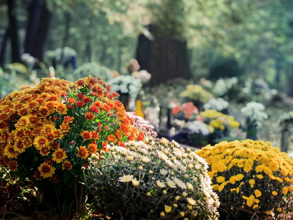 Comment choisir les fleurs de deuil ?