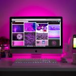 Site vitrine ou site e-commerce : lequel choisir pour votre activité ?