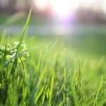 Pourquoi un terrain moins cher peut devenir plus coûteux ?