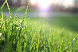 Pourquoi un terrain moins cher peut devenir plus coûteux ?
