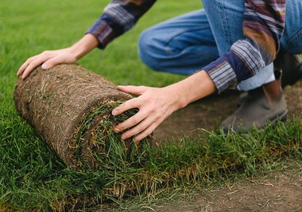 Comment préparer son terrain avant la pose de gazon en rouleau ?