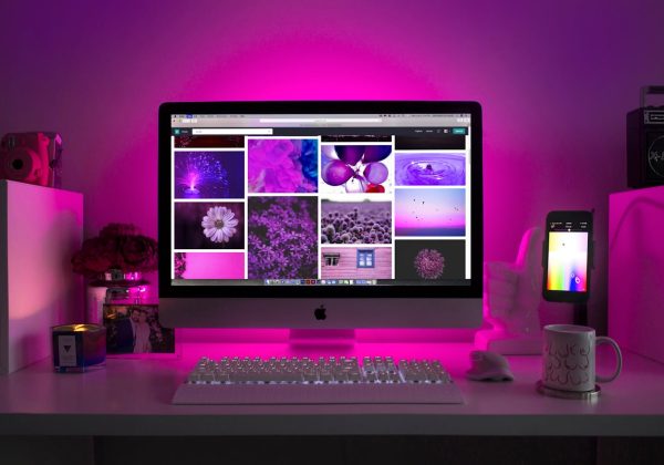 Site vitrine ou site e-commerce : lequel choisir pour votre activité ?
