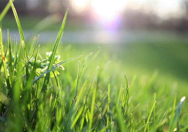 Pourquoi un terrain moins cher peut devenir plus coûteux ?